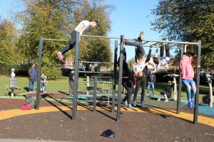 Calisthenics best sale rig uk